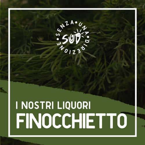 Liquore_08_finocchietto