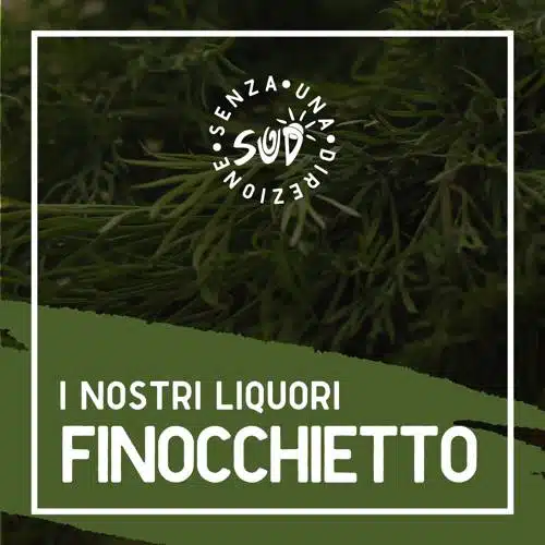 Liquore_08_finocchietto
