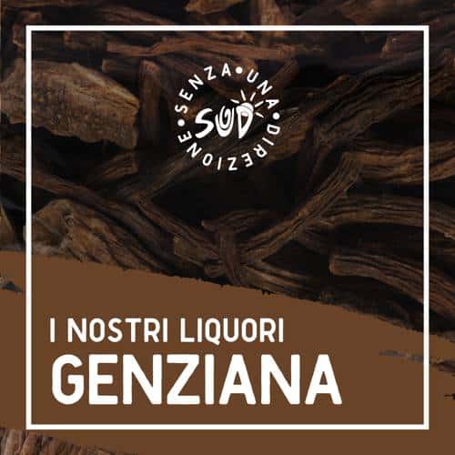 Liquore_11_genziana