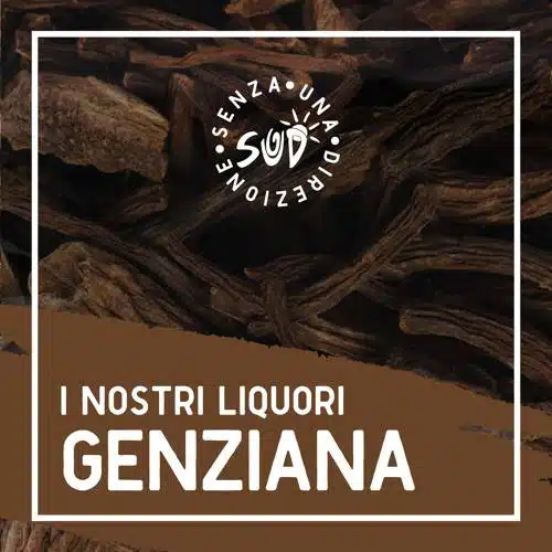 Liquore_11_genziana